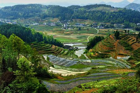 利川天气预报10天查询