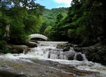 渭滨天气预报10天查询