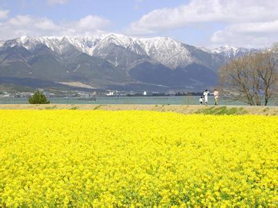 旺苍天气预报30天查询,旺苍县一个月天气