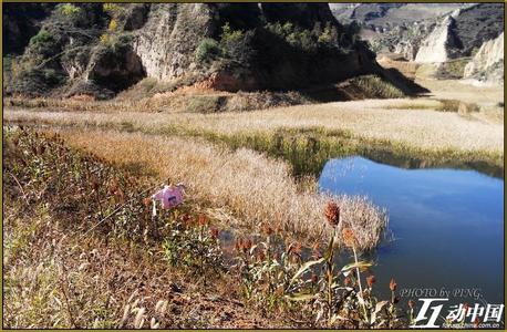 延川天气预报30天查询,延川县一个月天气