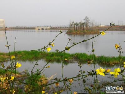 武汉青山天气预报_青山天气预报一周7天10天15天武汉青山天气预报,青山天气预报一周7天10天15天