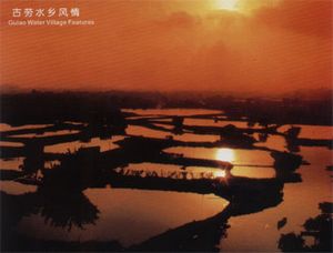 鹤山错误测速网