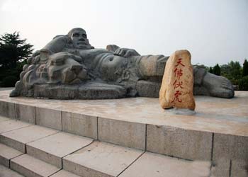莒南错误测速网