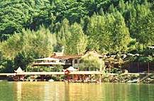 龙山错误测速网