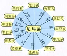 尼玛错误测速网