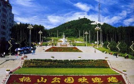 桃山错误测速网