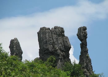 务川错误测速网