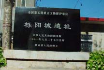 阎良错误测速网