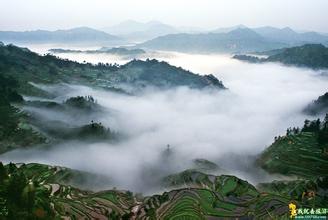 元宝山错误测速网