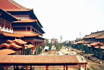 榆阳错误测速网