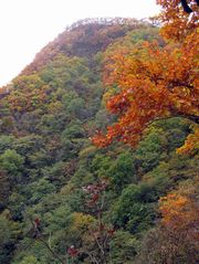 吉林拉法山天气