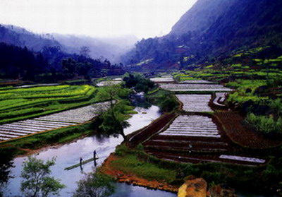 黑河高峰森林公园