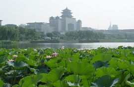 丰台莲花池公园天气