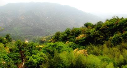 永定东华山